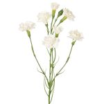 Rama de clavel artificial PIARA, blanco, 60 cm, Ø 2-5 cm