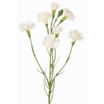 Rama de clavel artificial PIARA, blanco, 60cm, Ø3-5cm