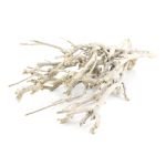 Ramitas decorativas MANDY, encaladas, 30 cm