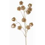 Rama decorativa de physalis DUGONG con frutos, dorada, 90cm