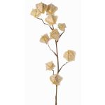 Rama artificial de physalis AINOS, frutos, purpurina, crema, 80cm