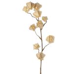 Rama artificial de physalis AINOS, frutos, purpurina, crema, 80 cm
