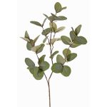Rama artificial de eucalipto EMMENDA, verde, 80cm