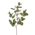 Rama artificial de eucalipto EMMENDA, verde, 80 cm