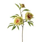 Rama de peonía artificial MANJA, verde-rosa, 70 cm, Ø 8-10 cm