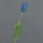 Flor artificial tulipán papagayo UAKARI, azul-verde, 65 cm, Ø 6 cm