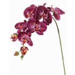 Rama decorativa de orquídea Phalaenopsis WESA, violeta oscuro-blanco, 90cm, Ø11-12,5cm