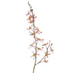 Rama artificial de orquídea Cattleya TRASSA, rosa, violeta-blanco-amarillo, 80cm, Ø4-8cm