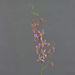 Rama artificial de orquídea Cattleya TRASSA, rosa, blanco y amarillo, 80 cm