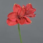 Amaryllis artificial NARWELA, rojo, 70 cm, Ø10-13 cm