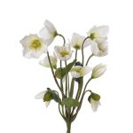 Rosa de Navidad artificial HALLA, vara fijación, blanco, 30cm, Ø7cm