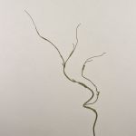 Rama artificial de salix matsudana TONY, verde-marrón, 75cm