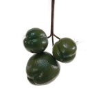 Coco artificial TIHANA, 3 piezas, verde, 12cm