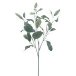 Rama de eucalipto artificial MALEEN, Eco Collection, verde, 75 cm