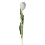 Flor decorativa tulipán GUSNAV, blanca, blanco, 50cm, Ø5cm