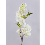 Rama textil de flor de cerezo MATSUDA con flores, crema-blanco, 80cm, Ø6-11cm
