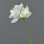Amaryllis flor sintética BENITA, blanco, 55cm, Ø10cm
