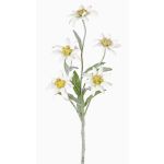 Ramillete de delweiss artificial SOPHIA, blanco, 40cm, Ø5-6cm