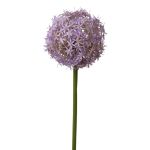 Flor de Allium artificial SAMARA, lila, 75cm, Ø12cm