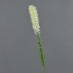 Liatris artificial MITSA, crema, 80cm, Ø5cm