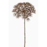 Flor Heracleum artificial ANSARI marrón, 80cm, Ø22cm