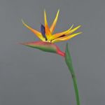 Strelitzia artificial LATIFA, naranja-violeta, 80cm, 17x20cm
