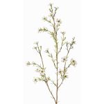Rama de flor de cera artificial NIANG, crema, 80cm, Ø1,5-2,5cm