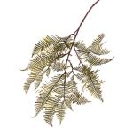 Rama de helecho artificial KENNET, verde, 90cm