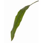 Hoja de Cordyline artificial ELARA, verde, 90cm