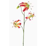 Gloriosa falsa TIANA, fucsia-amarillo, 85cm, Ø9-10cm
