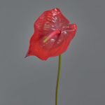 Anthurium de imitación MOIRA, rojo, 75cm, 13x20cm