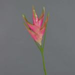Flor heliconia artificial TOMKE, rosa-verde, 80cm, Ø30cm