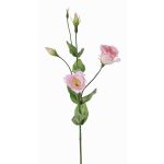 Lisianthus artificial JUDIKA rosa, rosa-blanco-verde, 70cm, Ø6-7cm