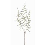 Rama de esparraguera acutifolius artificial JOCHEN, verde, 70cm