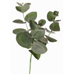 Rama textil de eucalipto JAMAL, verde-gris, 25cm