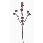 Rama de eucalipto artificial BASILIUS con frutas, marrón, 60cm