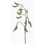 Rama de vainas de guisantes artificial KLAUS, verde, 90cm