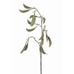 Rama de vainas de guisantes artificial KLAUS, verde, 90cm