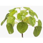 Planta china del dinero artificial SYBIL en vara de ajuste, verde, 13cm