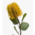 Banksia artificial CONAKIR, amarillo, 55cm