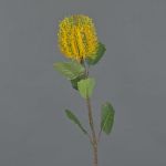 Banksia artificial CONAKIR, amarillo, 55cm