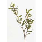 Rama de olivo artificial PARKER con frutos, 80cm