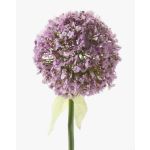 Allium artificial DURBAN, violeta claro, 70cm