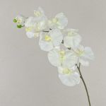 Rama de orquídeas phalaenopsis de plástico ANAT, crema, 100cm
