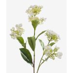 Hortensia artificial ALAZNE, crema, 75cm