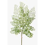 Rama de helecho de adiantum de plástico HALIMA, verde, 60cm