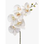 Rama de orquídeas phalaenopsis artificial NEITH, blanco, 75cm, Ø7-10,5cm
