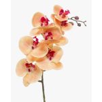 Rama de orquídeas phalaenopsis artificial NEITH, naranja-fucsia, 85cm
