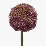 Allium de plástico BOUTROS, violeta, 75cm