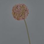 Allium de plástico BOUTROS, violeta, 75cm